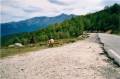 Tour de Corse - 01